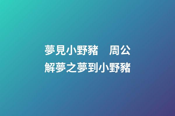 夢見小野豬　周公解夢之夢到小野豬